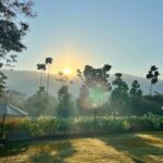 Aahana Kumra Instagram - 01. 01. 2023 Sunrise. Morning hike. Pool time. Best day! 🌞👙🏃‍♀️🌅🌸🏊‍♀️💁‍♀️❤️ #happynewyear #happynewyear2023 . . . . #newyear #2023 #aahanakumra #sunday #sundayfunday India