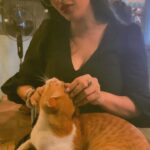 Akasa Instagram - life lessons to catto ❤️‍🩹 • • • • • • • • #akasa #akasasingh #akasians #akasakebesties #love #animallovers #musician #explore #fyp #cats
