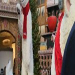 Archana Suseelan Instagram - Merry Christmas to everyone ....