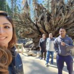 Archana Suseelan Instagram - Yosemite Mariposa Grove
