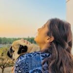 Delna Davis Instagram - I believe in Angels the kind that heaven sends 🐾 @sparkyboythepug #pug Mysore, Karnataka