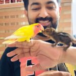 Dhanya Mary Varghese Instagram - Family യിലെ പുതിയ Members ❤️❤️ #johnjacob #dhanyamaryvarghese #johan #lifewithjod #familytime #happymoments #squrriel #luttino #petlovers