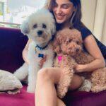 Ishita Raj Sharma Instagram - My respite, mister-tinkle+Mia! #furballs Delhi, India