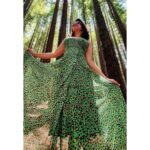 Jayshree Soni Instagram – Grow your roots deep and then reach for the stars, whispered the red wood trees.❤