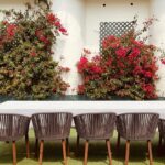 Lisa Haydon Instagram – Backyard in bloom