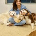 Madirakshi Mundle Instagram - No one can fully understand the meaning of love unless he's owned a dog ❤️❤️❤️❤️ Thankyou v For taking me there My bachaaaaaas