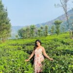 Megha Mathew Instagram - 🌸🌸🌸 #fashion #style #love #instagood #like #photography #photooftheday #beautiful #follow #instagram #picoftheday #model #bhfyp #instadaily #me #art #smile #likeforlikes #beauty ##myself #ootd #happy #instalike #fashionblogger #moda #cute ##likes. Munnar Hillstation, Kerala