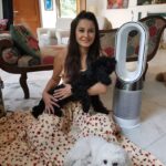 Minissha Lamba Instagram - Say hello to not only my, but my pets’ favourite as well- The Dyson pure Hot+Cool purifier It purifies the air around plus he’s a great pal to have on hot summer days. The Dyson’s Cooling Features are really Cool 😎 We’ve all fallen in love… Especially 6 month old Gigi, who is fascinated with the Dyson’s Cooling Blower 🥰 @dyson_india #ProperPurification#DysonIndia#DysonHealthyHomes Mumbai, Maharashtra