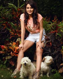 Minissha Lamba Instagram - Hi my cute lil muffins.. #chloe #zoey
.
.
.
.
.
.
.
.
.
.
.
.
#dogstagram #doggo #dogsofinstagram #shitzu #shitzusofinstagram #shitzulovers #cute #puppy #puppylove #puppiesofinstagram #maltipoo