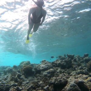 Minissha Lamba Instagram - Snorkeling in the beautiful waters of @hideawaybeachmaldives
Thank you Ameen for the guidance and beautiful shots..
@hideawaybeachmaldives @rupalidean
#myhideaway #hideawaybeachmaldives #maldiveshideaway #watersports #snorkelling