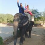 Mouli Ganguly Instagram - Chal mere sathi 2023❤️ HATHI GAON (Jaipur) is a wonderful government set up elephant sanctuary where elephants are given shelter with great love and care. The gentle giant we are riding is called PUSHPA 🐘 . . #mouliganguly #mazhersayed #hathigaon #elephantride #jaipur #rajasthan Hathigaon