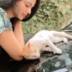 Pooja Sawant Instagram - I made a new friend this winter morning ❄️❄️❄️ Grateful to be around pure souls 🐈 #adoptdontshop #adoptindies #joshmarathi #officialjoshapp #joshapp @josh.marathi @officialjoshapp