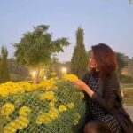 Pooja Sharma Instagram - Earth laughs in flowers 🌻🌼🌸🌺🪷🥀🌹🌷💐 Tell me your favourite flower. Personally i love keeping Rajnigandha’s (Tuberose)at home. They bloom through the night n the fragrance they emit is awesome. Try keeping some next to your bed at night n … voila . #flowers #iloveflowers #bloom