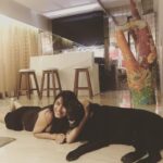 Pooja Sharma Instagram - My Rowdy Rathore 🤩🤩🤩😍😍😍🐕🐕🐕