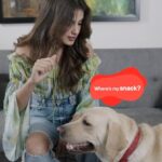 Rhea Chakraborty Instagram – During snack-time, don’t forget to give your pawpals a healthy & delicious treat! And with @droolsindia you have to look no further! 
Drools Dog Biscuit is a crunchy oven-baked delight that your pet is gonna absolutely love. Made with 100% Real Chicken & Egg, these treats ensure optimum nutrition. 
Grab a box for your pets now! 

Drools- Feed Real Feed Clean 🐾

#droolsindia #pets #petfood #pettreats #dogfood #petlovers