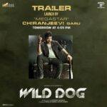 Saiyami Kher Instagram - Megastar @chiranjeevikonidela garu will launch the #WildDogTrailer tom. So grateful. Stay tuned! #AcharyaForWildDog #WildDogOnApril2nd #WildDog #akkineninagarjuna #chiranjeevi @ahishor @musicthaman @diamirzaofficial @saiyami @shaneildeo @i.ali.reza @onelifeitis @prakashsudarshanofficial @nm_pasha @matineeents