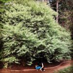 Samvrutha Sunil Instagram - #backhome #backtochores #lovelife Charlotte, North Carolina