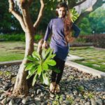Sana Amin Sheikh Instagram - 🌻 Picture courtesy : @lovekansh_garg #gardening 24/6/20 Mumbai - City of Dreams