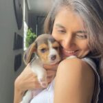 Sanjana Sarathy Instagram - “ I know you’re somewhere out theree“. I WANTT🥺. Wish he was mine. This peanut is a heartbreaker omg ❤️ . . . Make up : @chisellemakeupandhair . Hair : @vyshalisundaram_hairstylist 📸 : @mickey__creations . . #dogs #puppies #puppylove #instagood #reels #reelsinstagram #puppyoftheday #cutiepie #myheart #doll #love