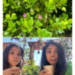 Shriya Pilgaonkar Instagram - @thewestinhimalayas ,Thank you for spoiling us with your incredible food, hospitality, all those unique experiences at your property and those gorgeous views . Going to be back very soon🥰🏔️ The Westin Resort & Spa, Himalayas