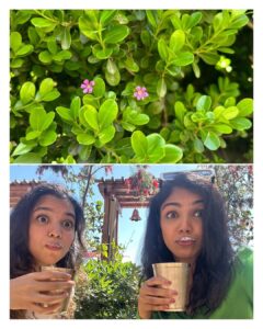 Shriya Pilgaonkar Instagram - @thewestinhimalayas ,Thank you for spoiling us with your incredible food, hospitality, all those unique experiences at your property and those gorgeous views . Going to be back very soon🥰🏔️ The Westin Resort & Spa, Himalayas