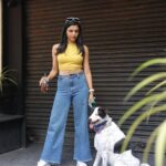 Shriya Pilgaonkar Instagram - Team 🤙🏼♥️🧿 Pc @karanhenry #Jack #Posers #dogsofinstagram #indie #Adopt