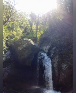 Shruti Bapna Instagram - Breathe in and out consciously... it's beautiful. Everything else can wait 💚
#himachal #waterfall #nature #shrutibapna