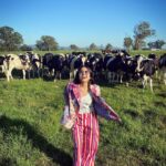 Shweta Tripathi Instagram - Jab 💛 banna 🎈on the Hot Air Ballon 🌤 Wearing @ilovepero #ThisIsQueensland #PlayGoldCoast #TataBattata Queensland, Australia