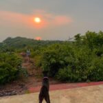 Sonnalli Seygall Instagram - Goa photodump ☀️🍎🐕☕️ #traveldiary #photodump #goa #sunsetlover #travelwithsonnalli