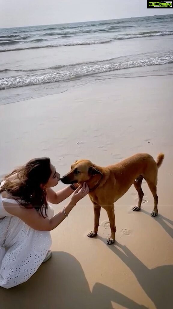 Vidhi Pandya Instagram - Me to literally every puppy I meet🥰 All my pawsitive people drop a 🐾 in the comments below 🧿. #beuniquelyyou #love #BB15 #vidhipandya #vidhiipandya