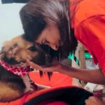 Aishwarya Sakhuja Instagram - Being with the fur babies makes my day pawsome 🫶🏻🐾 Throwback to the #YOLOTurns2 event where I got to spend time with so many of them 😍 . . #pets #furbabies #pawsome #babies #pawsitivity #goodtimes #goodvibes #happytimes #reels #reelsinstagram #aishwaryasakhuja