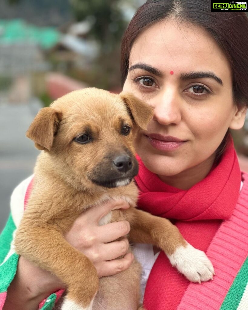 Aksha Pardasany Instagram - I found someone. In the mountains ❤️ #himachal #manali #himachalpradesh #mountaingirl #mountains Manali Himachal Pardesh