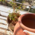 Anagha Bhosale Instagram - Just by looking at Tulsi Maharani all sins are removed. By planting, one achieves nearness to the Supreme Personality of Godhead. If someone offers Tulsi Maharani at the lotus feet of Lord Krishna, she awards liberation and devotion to Him.