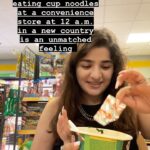 Ananya Agarwal Instagram – finding cup noodles without shrimp or beef is such a task in vietnam😵‍💫