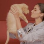 Ananya Panday Instagram - Focus on your dog’s health & growth with @droolsindia Drools Focus Super Premium is a single grain formula & has no corn, soya or wheat. The Focus is on more meat & less grains with the highest quality protein making it perfect for your loved pet! The best part is, it’s available for all ages- Starter, Pup & Adult to ensure your dog gets the right nutrition throughout its growth cycle 😁 Drools Focus, Feed Real Feed Clean ❤️ #droolsindia #droolsfocus #cleannutrition #petparents #feedrealfeedclean #pethealth