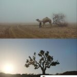 Anil Kapoor Instagram - #1yearofThar Posted @withregram • @harshvarrdhankapoor 1 year of my first film as producer and 5 th credit as an actor.. several years in the making and we finally were able to bring this never before seen world to life. Thar personally for me is the film I’m post proud of just because of how difficult it was to get it made and put it out there , it taught me that perseverance and conviction always pays and that there is still a place for authenticity and originality in a mostly plastic and superficial world. Made a friend for life @rajsingh_chaudhary got to work with @anilskapoor for the second time after ak Vs ak he also won his first ott filmfare award for this while I got my first best actor and best film nomination. @shredevdube our miracle cinematographer who created waves with her work and won the Asian academy award for cinematography the brilliant @fatimasanashaikh forever grateful to her that she said yes to this film that so many mainstream actresses today would’ve shyed away from @jitendrajoshi27 unbelievable actor and an even better human being @ajayjayanthi for his magical score @artb for her patience during the edit there were so many cuts and reshoots that further improved the film she handled our mistakes with so much patience and grace and love I will be forever grateful to you @netflix_in @chetansjhawar @nehacolours for backing a film most wouldn’t and standing by it thank you very much. Lastly but most importantly the opportunity to work with @satishkaushik2178 I will be eternally grateful for we miss you everyday .For those that haven’t seen our moody slow burn thriller it’s on Netflix