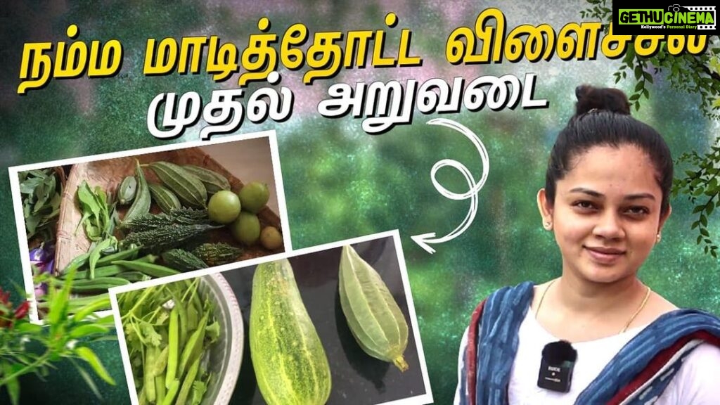 Anitha Sampath Instagram - Terrace garden harvesting video guys😇 Anitha sampath vlogs Link in bio and story😇