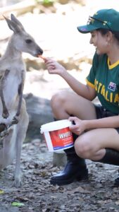 Anju Kurian Instagram - 🦘 🦜 🐨 🦜🦘

📍- Australia 🇦🇺 

#traveltheworld #animallovers #kangaroo #koala #naturegram #instatravel