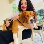 Ann Augustine Instagram - ❤️ #doll#cutie#dogs#dogsofinstagram#doglover#adoptdontshop#beagle#indies#curls#curlyhair#coffeelover#artlover