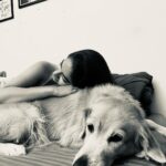Anushka Sen Instagram - iss hafte ke episodes mein , anushka ki zindagi ke 🦦🫶🎥💜😍