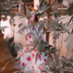 Arti Singh Instagram -