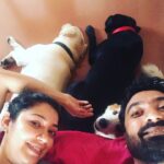 Chaya Singh Instagram - Chilling after Diwali day out😴 #tuesday #mornings #labsofinstagram #chill #petlovers #family