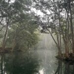 Dia Mirza Instagram - Yesterday was #InternationalDayOfForests 🌳🌏🕊️ Why are our #Forests so integral to health, peace and survival? Over 1.6 billion people depend on forests for food or fuel, and some 70 million people worldwide - including many Indigenous communities - call forests their home. With so many people dependent on forests, the fate of our forests may determine our own fate as well. Forests help prevent erosion and enrich and conserve soil. Deforestation has serious consequences on the health of people directly dependent on forests, as well as those living in cities and towns, as it increases the risk of diseases crossing over from animals to humans. Meanwhile, time spent in forests has been shown to have a positive benefit on conditions including cardiovascular disease, respiratory concerns, diabetes and mental health. Forests are home to over 80% of terrestrial biodiversity, including 80% of amphibians, 75% of birds and 68% of mammals. Deforestation of some tropical forests could lead to the loss of as many as 100 species a day. It is no surprise that when we cut down or damage our forests, we release huge amounts of carbon emissions that contribute to the climate crisis. About one-third of the world’s largest cities obtain a significant proportion of their drinking water from forested protected areas. Our lives are deeply linked with forests. You can help protect forests by pledging your support to an organisation or community that works to protect forests 🌳🙏🏻 I work with @wildlifetrustofindia @ifawglobal @unep @sanctuaryasia you can volunteer or help any of these organisations or one of your own choice. Let’s pledge to protect forests for the sake of our health, security, peace and prosperity 🦋 #ForPeopleForPlanet #ForNature #GenerationRestoration #OnePlanetOnePeople #OneEarth #SDGs #GlobalGoals India