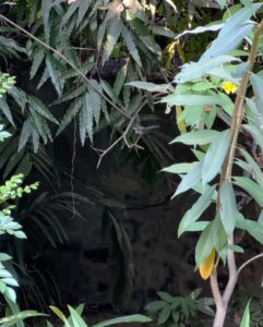 Dia Mirza Instagram - Spending time in the garden surrounded by big trees, with over 25 species of birds is a wonderful time of day for us 🌏🐯☀️🦋💚

Everyday our son gets to interact with nature it fosters a sense of belonging, of oneness with all life and benefits health. 

Have you read the book “Last Child In The Woods” by Richard Louv?

"Last Child in the Woods" discusses the growing disconnect between children and nature, and the potential consequences of this trend on the physical, mental, and emotional development of young people.

The book argues that as children spend more time indoors and less time engaging with the natural world, they may experience a range of negative effects, including obesity, attention disorders, depression, and a diminished sense of creativity and wonder. The book suggests that by fostering a closer relationship between children and nature, parents, educators, and community leaders can help promote healthier and more well-rounded development for the next generation.

Louv also advocates for the creation of more green spaces and outdoor educational programs, as well as increased awareness and protection of natural areas. The book has helped spark a movement focused on reconnecting children with nature, sometimes referred to as the "Nature Movement."

Let’s ensure our children seek nature everyday 🙌🏼🌻 #ForNature #ForPeopleForPlanet