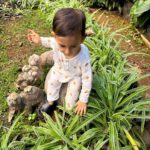Dia Mirza Instagram - Spending time in the garden surrounded by big trees, with over 25 species of birds is a wonderful time of day for us 🌏🐯☀️🦋💚 Everyday our son gets to interact with nature it fosters a sense of belonging, of oneness with all life and benefits health. Have you read the book “Last Child In The Woods” by Richard Louv? "Last Child in the Woods" discusses the growing disconnect between children and nature, and the potential consequences of this trend on the physical, mental, and emotional development of young people. The book argues that as children spend more time indoors and less time engaging with the natural world, they may experience a range of negative effects, including obesity, attention disorders, depression, and a diminished sense of creativity and wonder. The book suggests that by fostering a closer relationship between children and nature, parents, educators, and community leaders can help promote healthier and more well-rounded development for the next generation. Louv also advocates for the creation of more green spaces and outdoor educational programs, as well as increased awareness and protection of natural areas. The book has helped spark a movement focused on reconnecting children with nature, sometimes referred to as the "Nature Movement." Let’s ensure our children seek nature everyday 🙌🏼🌻 #ForNature #ForPeopleForPlanet Bandra World of Storytellers