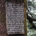 Dia Mirza Instagram - Bless you tree 🌳 thank you tree 🌏🕊️🐯♾️ A tree that has lived hundreds of years and witnessed the changes of our world, must carry so much wisdom… An entire ecosystem depends on this Deodar tree 💚 May it live on in all it’s glory! #SummerHolidays #SunsetKeDivane @vaibhav.rekhi Including this poem that Dadi wrote after she saw this post ❤️🦋 @rekhi.poonam Bless you Tree! Thank you Tree!/ So many gifts you give to me!/ Fruits and flowers, leafy shade,/ Twiggy nests in your crown laid,/ Shelter from the pouring rain/ Seeds that drop upon the plain/ Bless you Tree! Thank you Tree!/ You’re a true friend I can see! Landour, Mussoorie