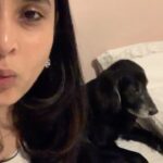 Divya Spandana Instagram - 🙃😘 For all those reminding me- Yes, I forgot about the audio!🙈 but you all know what a whistle sounds like. Whistle along with me 😀 I was trying to get Champ’s attention, but he no care! 🤪