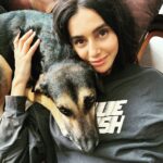 Farhan Akhtar Instagram - Take it easy policy .. #dog #doglovers #indie