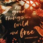 Gopika Anil Instagram - ..her, Because she Makes life poetry , She turns every bit Of it into art !!! 💫 . . . .#gops #gopikaanil #says #reelsfeelit #her #captures #reelsinstagram