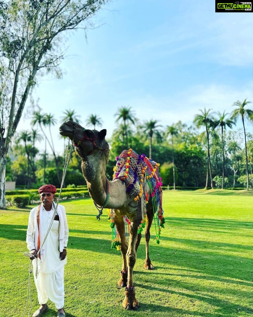 Gul Panag Instagram - A Sunday like Sundays should be. Relaxing . Doing nothing. Lazing by the pool and playing in the pool! Nihal made friends and spent a good part of the day in the pool before heading to the pool in the villa! We had a tough time getting him out for lunch. And then he went right back in. 💁🏻‍♀️ Tea time came with a camel and a visit to the stables to meet the horses. Some croquet and a trip to the vegetable garden. I was happy to see somethings from the garden on my dinner plate.😊 #weekend #weekendvibes @amanbagh #amanbagh #AmanResorts #thespiritofaman Amanbagh